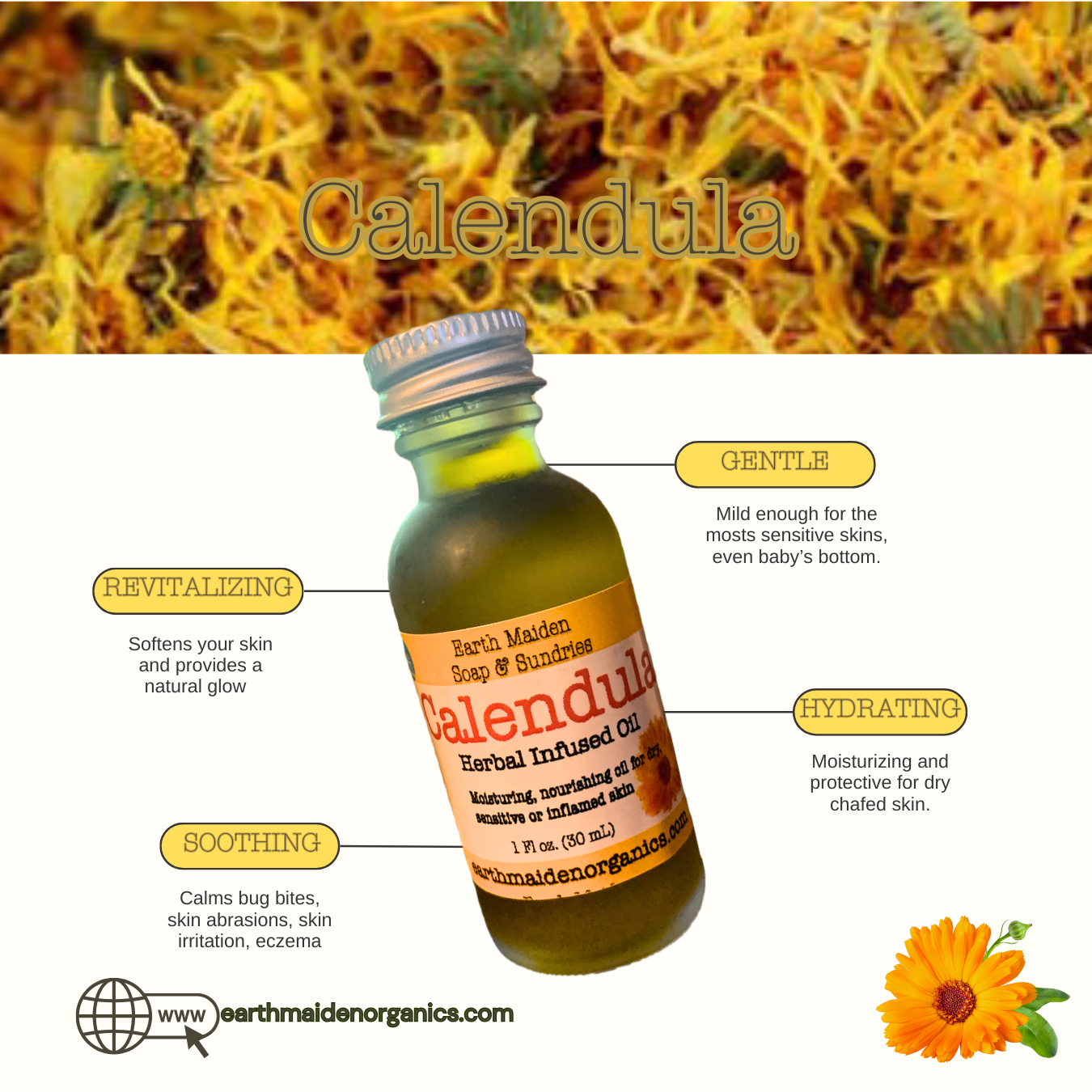 All natural calendula infused oil is a necessity for your medicine cabinet